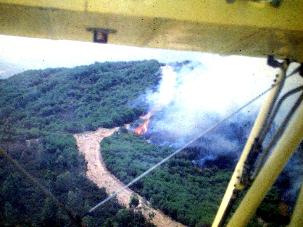 El incendio avanzando por el monte junto a un cortafuegos, visto desde la cabina